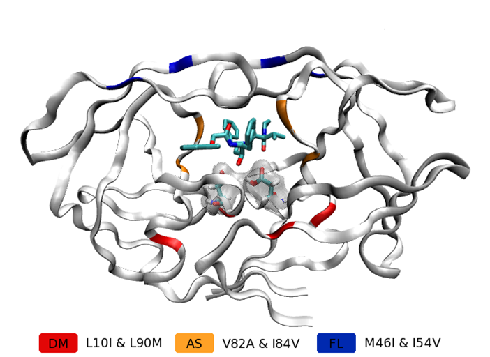 From genetic sequence to drug ranking via computer simulation.